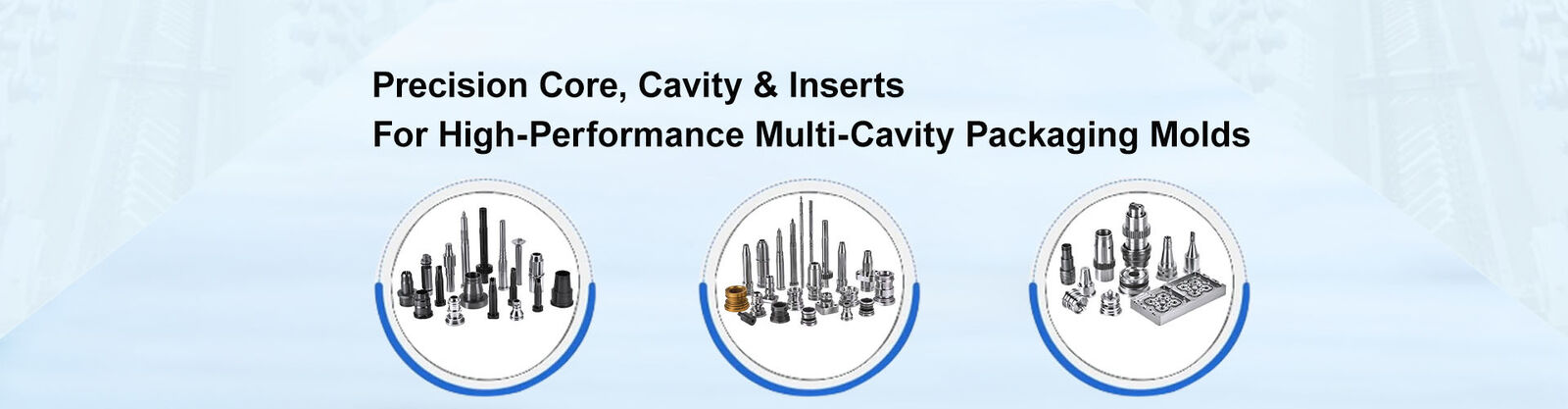 प्रेसिजन मोल्ड अवयव