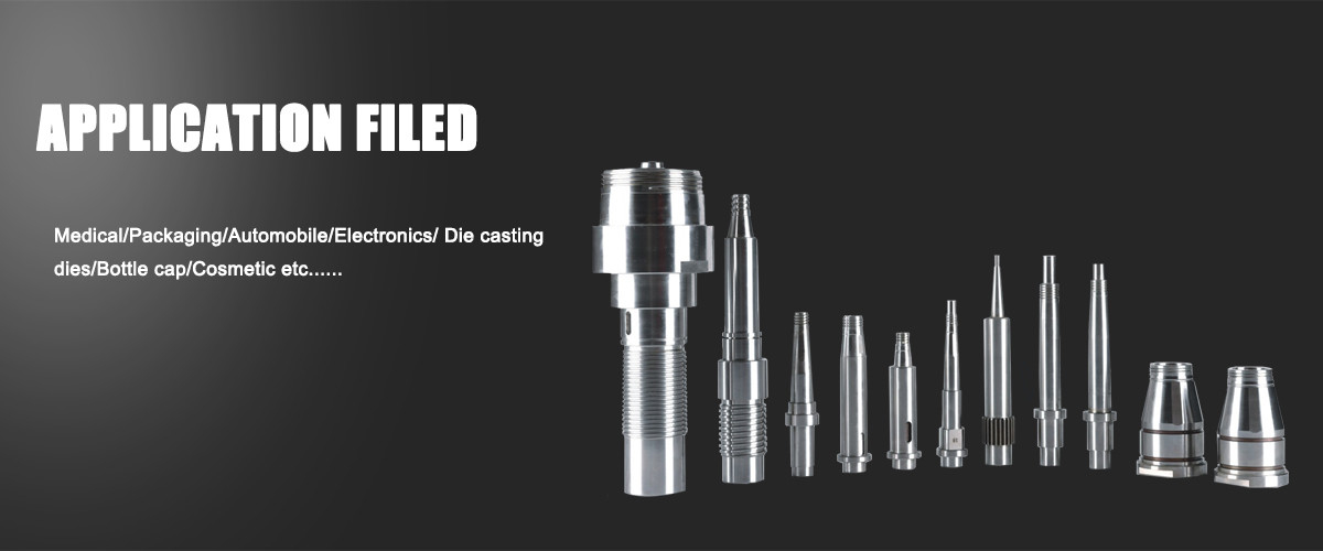 प्रेसिजन मोल्ड अवयव