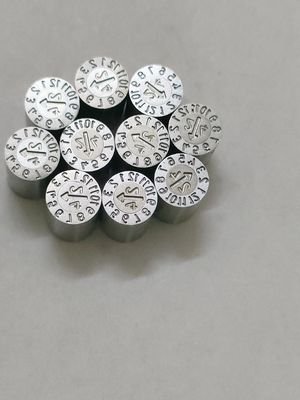 SUS420 स्टेनलेस स्टील दिनांक इन्सर्ट्स - DME और HASCO मानक मोल्ड पार्ट्स